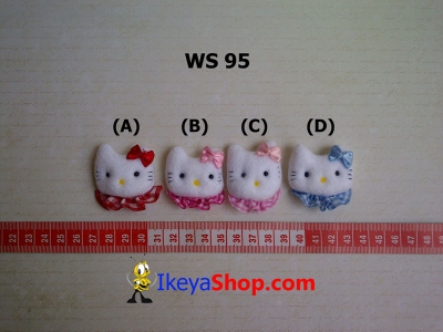 WS 95  large2